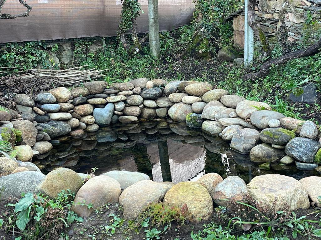 Casa Do Adro-Passadicos Do Paiva Arouca Βίλα Εξωτερικό φωτογραφία