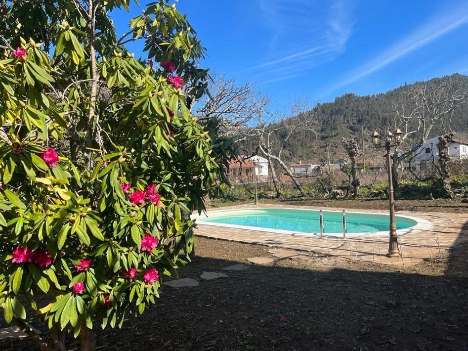 Casa Do Adro-Passadicos Do Paiva Arouca Βίλα Εξωτερικό φωτογραφία