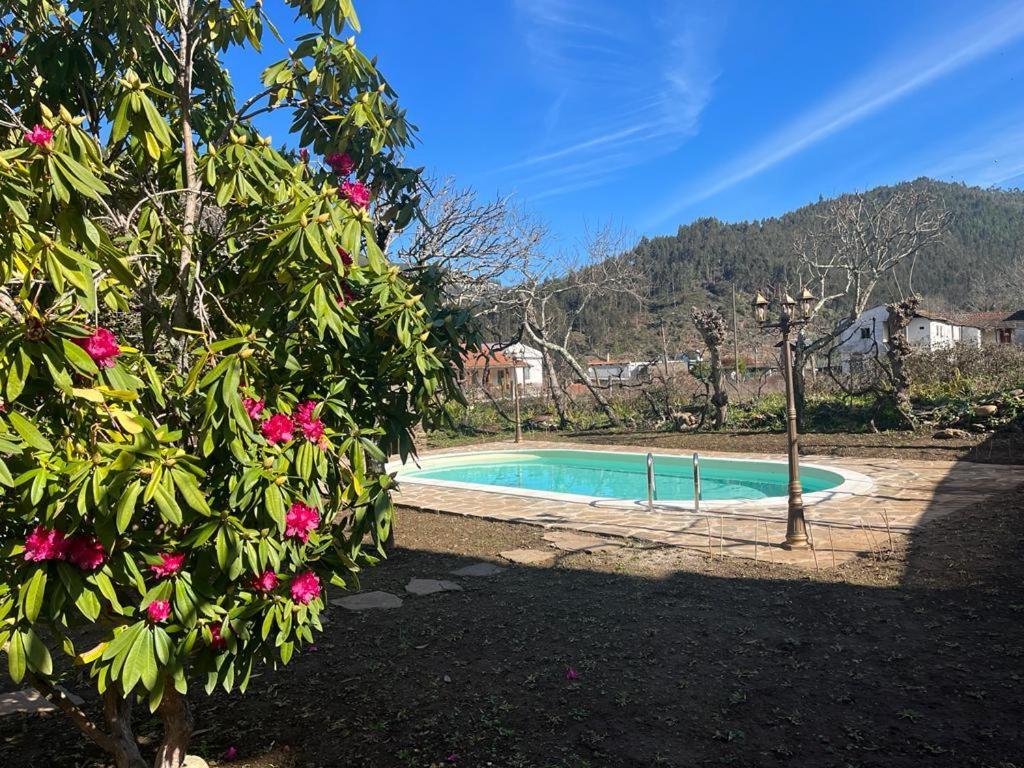Casa Do Adro-Passadicos Do Paiva Arouca Βίλα Εξωτερικό φωτογραφία